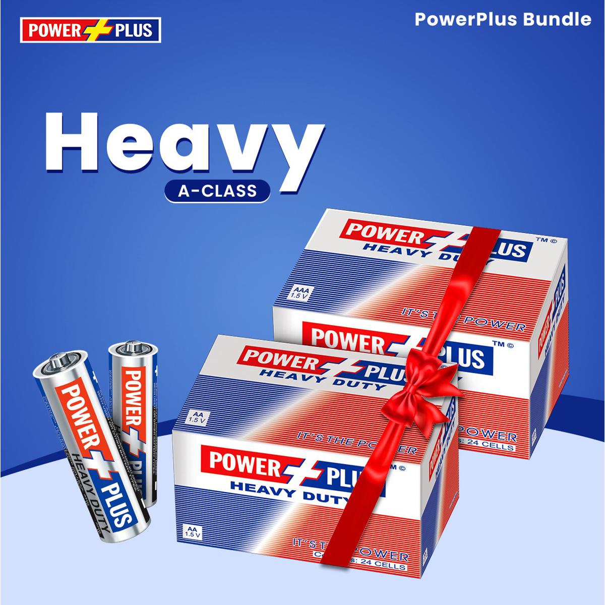 POWER PLUS CELL SUPER HEAVY DUTY AA CARD